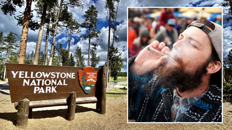 Cannabis Sellers Warn Against Taking Marijuana Into Yellowstone
