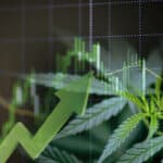 Evaluating the Investment Potential of Corbus Pharma 3 Is Small-Cap Corbus Pharma a Worthy Cannabis Investment?