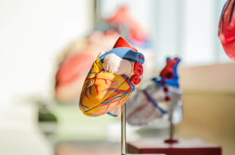CBD Formulation Shows No Cardiac Safety Concerns