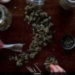 "Cannabis for Managing Chronic Pain" 4 Chronic Pain Relief: Examining The Role Of Medicinal Cannabis