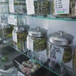 Federal Judge Block’s Oregon’s New Cannabis Labor Law On Constitutional Grounds