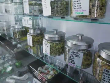 Federal Judge Block’s Oregon’s New Cannabis Labor Law On Constitutional Grounds