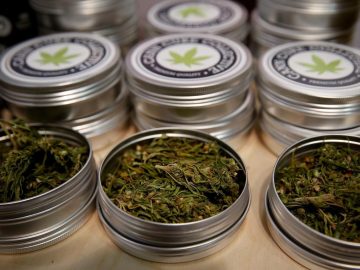 South Korea Sees Sharp Rise In Synthetic Cannabis Use Among Teenagers