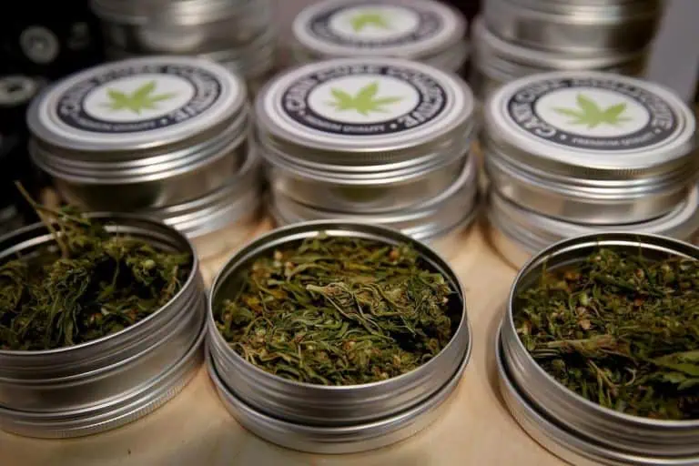 South Korea Sees Sharp Rise In Synthetic Cannabis Use Among Teenagers