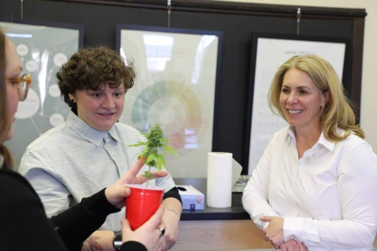 Pennsylvania Institute Of Technology Expands Cannabis Business Studies