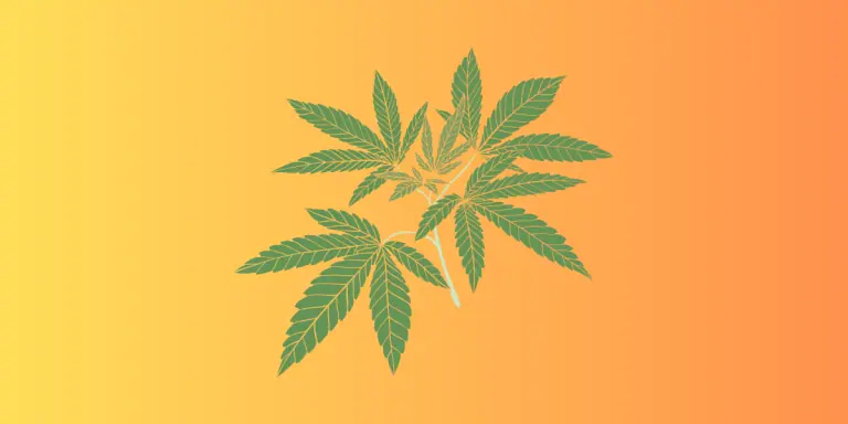 Kennesaw Officials At Odds Over Decriminalizing Cannabis