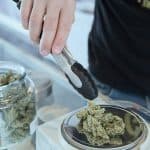 California Assembly Unanimously Approves Bill To Halt Major Cannabis Tax Hike 4 California Assembly Unanimously Approves Bill To Halt Major Cannabis Tax Hike