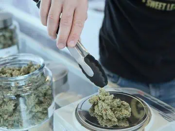 California Assembly Unanimously Approves Bill To Halt Major Cannabis Tax Hike