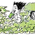 The Disposable Vape Ban Has Changed Nothing