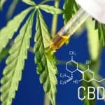 Can CBD Really Help Manage Stress?