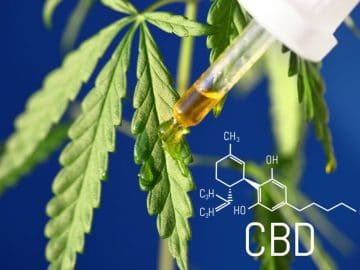 Can CBD Really Help Manage Stress?