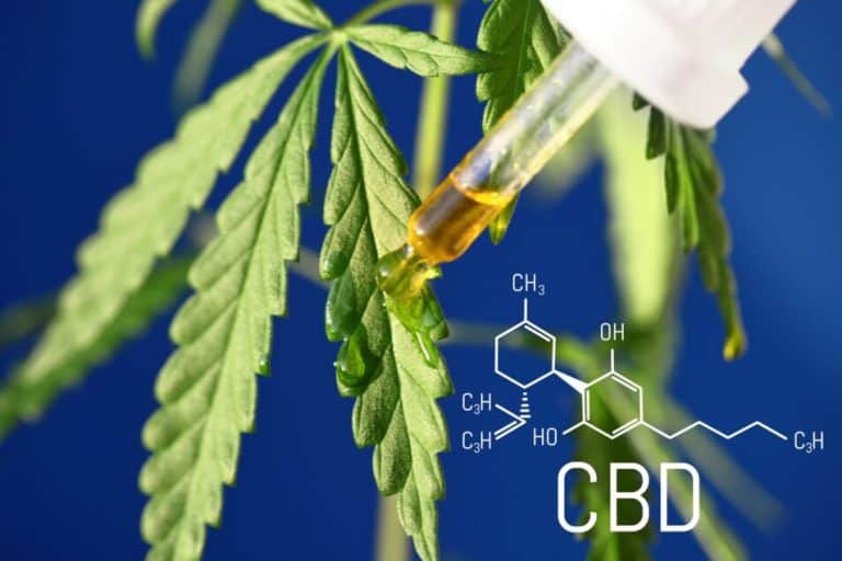 Can CBD Really Help Manage Stress?