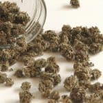 249 Winners Selected In Minnesotas Cannabis Business License Lottery