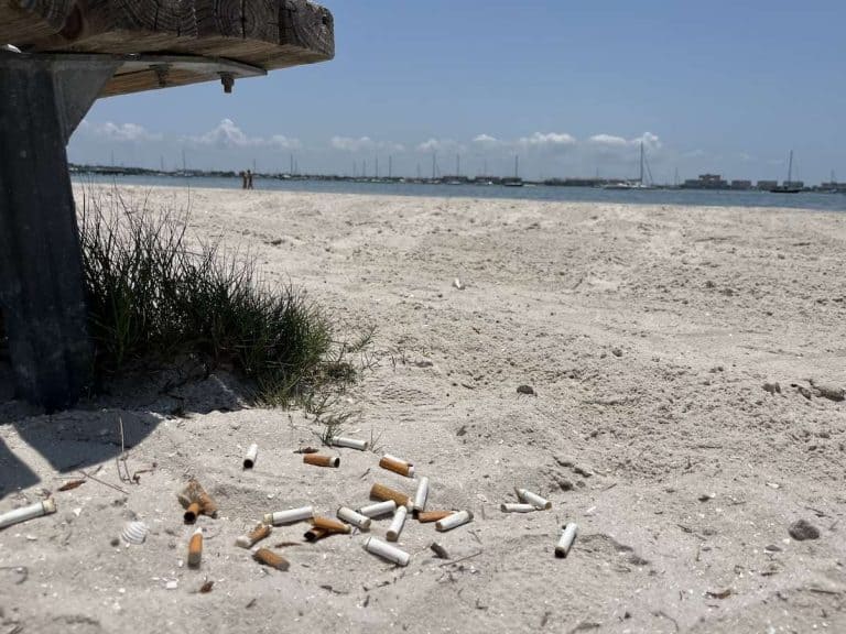 City Whys: Why Does The New Smoking Ban Allow Cigars?