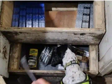 Illegal Cigarette And Vape Raids Seize £50k Of Contraband Goods