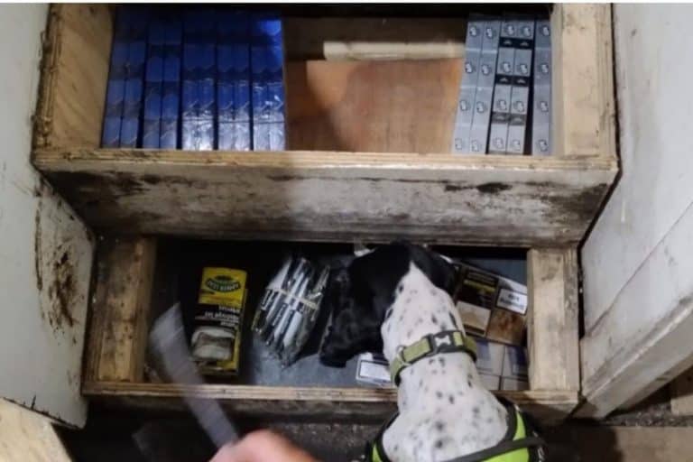 Illegal Cigarette And Vape Raids Seize £50k Of Contraband Goods