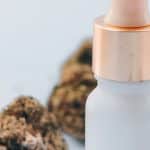 To CBD… Or Not To CBD?
