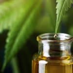 Topical CBD quickly and effectively kills off deadly fungal infections