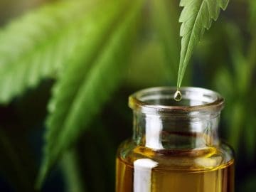 Topical CBD quickly and effectively kills off deadly fungal infections 10 Topical CBD quickly and effectively kills off deadly fungal infections
