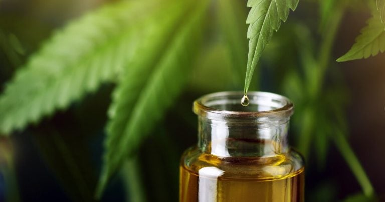 Topical CBD quickly and effectively kills off deadly fungal infections