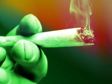 Cannabis Linked To 2x Risk Of Heart Disease Death, Scientists Discover