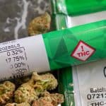 Hemp Businesses On Edge Pending Governor Ban Decision