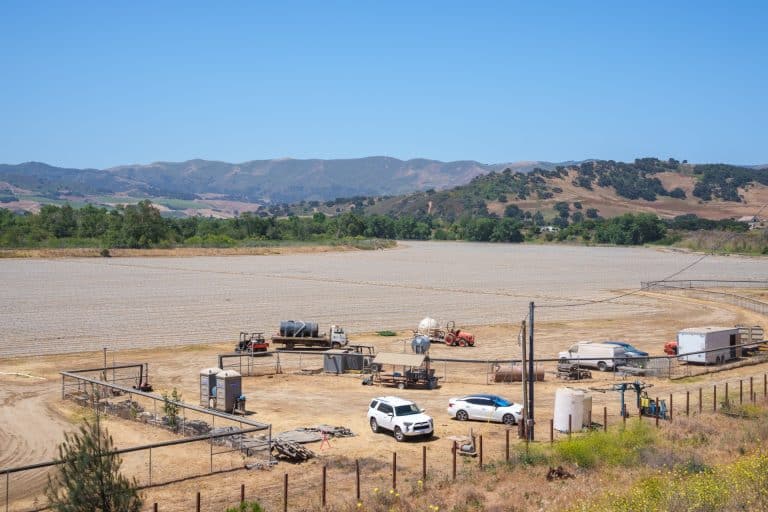 Grapes Vs. Grass: Vintner’s Lawsuit Against Cannabis Grower Has Class Action Stakes