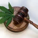 Texas Legalizes Medical Cannabis: Becoming The 40th State To Do So 4 Texas Legalizes Medical Cannabis: Becoming The 40th State To Do So