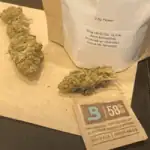 Vermont Cannabis Industry Measures Up 4 Vermont Cannabis Industry Measures Up