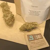 Vermont Cannabis Industry Measures Up