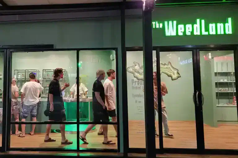 Thailands Cannabis Ban May Set Back Asias Marijuana Laws