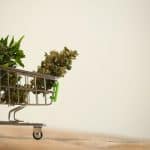 CSQ Announces New Standards For Cannabis Retail, Warehousing, And Distribution