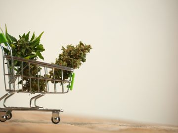 CSQ Announces New Standards For Cannabis Retail, Warehousing, And Distribution