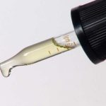 University of Maryland study observes effect of THC, CBD on dementia