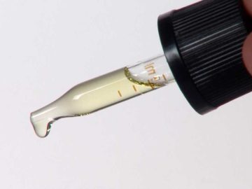 University of Maryland study observes effect of THC, CBD on dementia