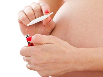 Cannabis Use Varies By Pregnancy Status 12 Cannabis Use Varies By Pregnancy Status