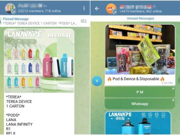 Over 600 Telegram Groups In Singapore Selling, Advertising Vapes Removed By HSA