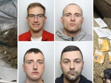 Gang Sent 800,000 Of Cannabis From USA To Yorkshire Using Postal Services