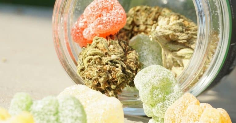 CBD Gummies and Ingestibles: Exploring Modern Wellness Alternatives