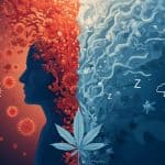 Inflammation Influences Cannabiss Effects On Anxiety And Sleep – Neuroscience News