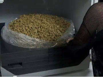 Poll: US Consumers Prefer ‘Clean’ Cannabis