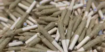 Cannabis Brands Leverage Media Partnership For Enhanced Visibility