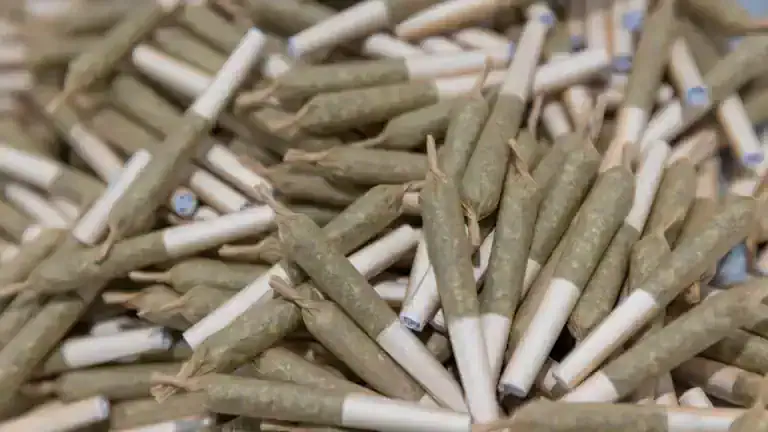 Cannabis Brands Leverage Media Partnership For Enhanced Visibility