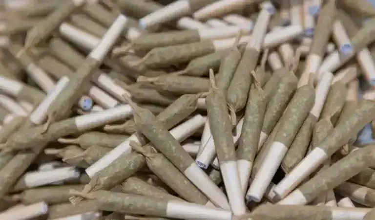 Cannabis Brands Leverage Media Partnership For Enhanced Visibility