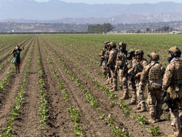 California Cannabis Farm Announces Changes After Deadly ICE Raid