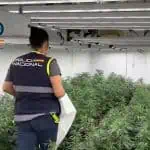 Spain Police Dismantle Gang Smuggling Cannabis To Ireland 4 Spain Police Dismantle Gang Smuggling Cannabis To Ireland