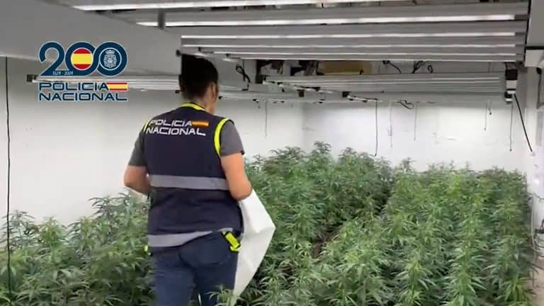Spain Police Dismantle Gang Smuggling Cannabis To Ireland