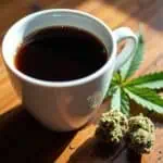 UConn Study Uncovers Gaps in CBD Beverage Labeling and Actual Content 4 UConn Study Uncovers Gaps in CBD Beverage Labeling and Actual Content