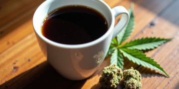 UConn Study Uncovers Gaps in CBD Beverage Labeling and Actual Content