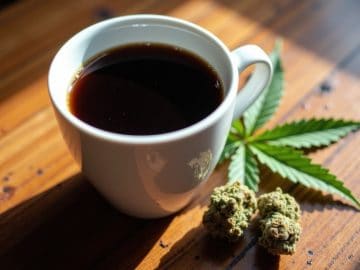 UConn Study Uncovers Gaps in CBD Beverage Labeling and Actual Content